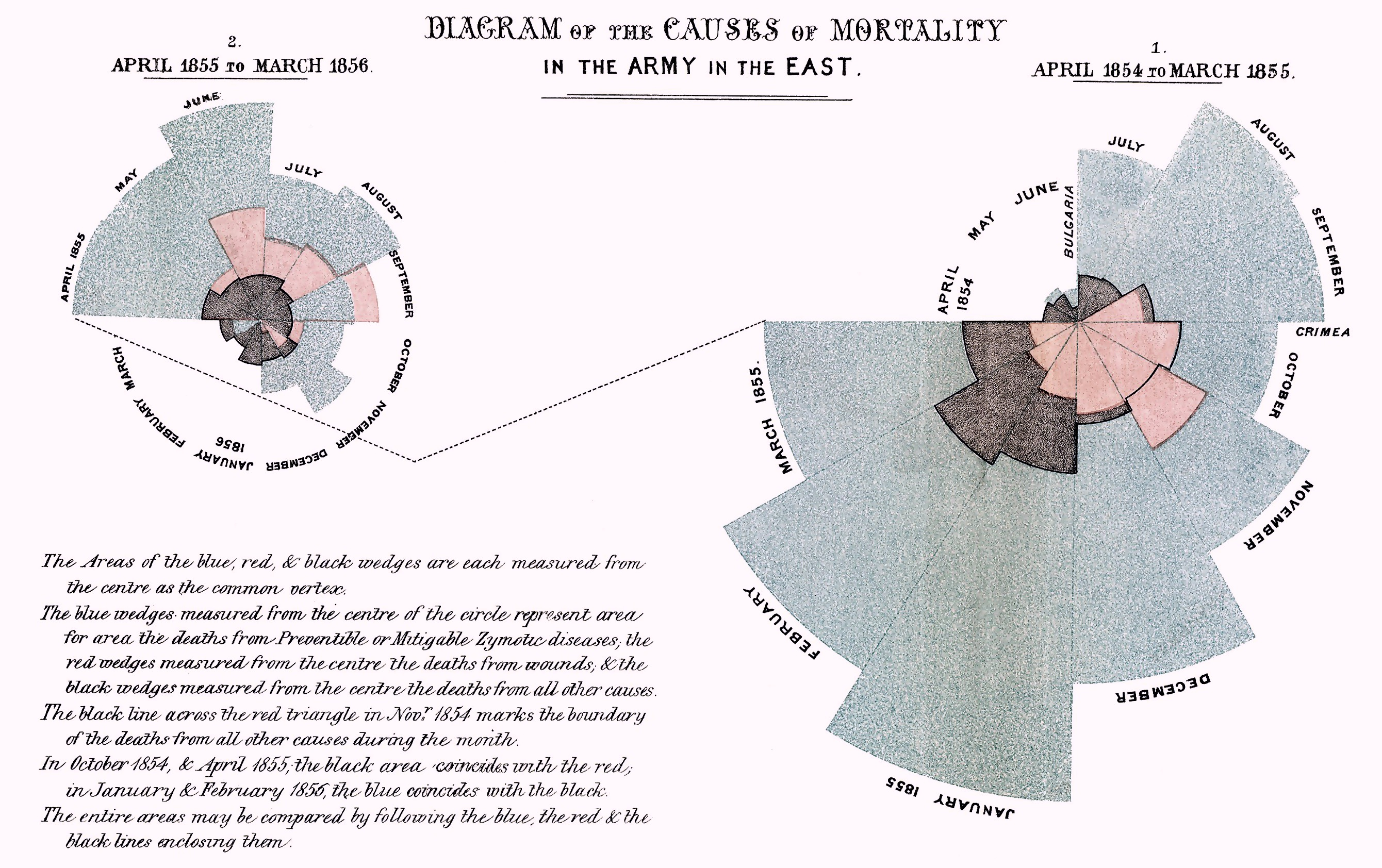 Original Graphic